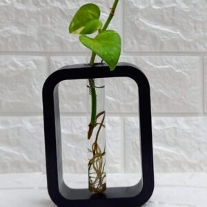 Concrete Test Tube Planter