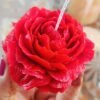 Peony Flower Candle