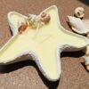 Concrete Starfish Jar Candle