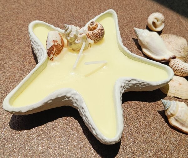 Concrete Starfish Jar Candle