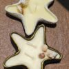 Concrete Starfish Jar Candle