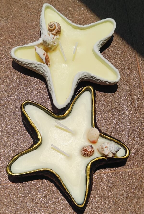 Concrete Starfish Jar Candle