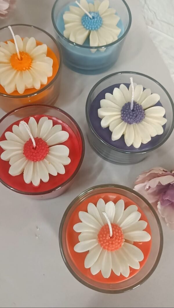 Rainbow Daisy flower