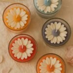 Rainbow Daisy flower