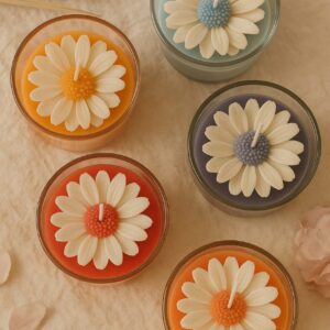 Rainbow Daisy flower